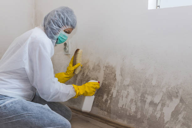 Best Industrial Mold Remediation  in Souderton, PA