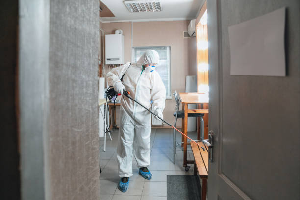 Best Mold Prevention Services  in Souderton, PA