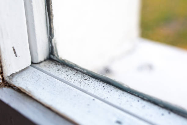 Best Water Damage & Mold Remediation  in Souderton, PA
