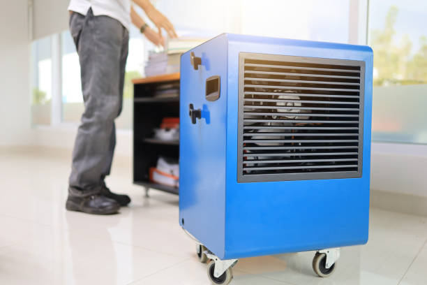 Best Forensic Mold Investigation  in Souderton, PA