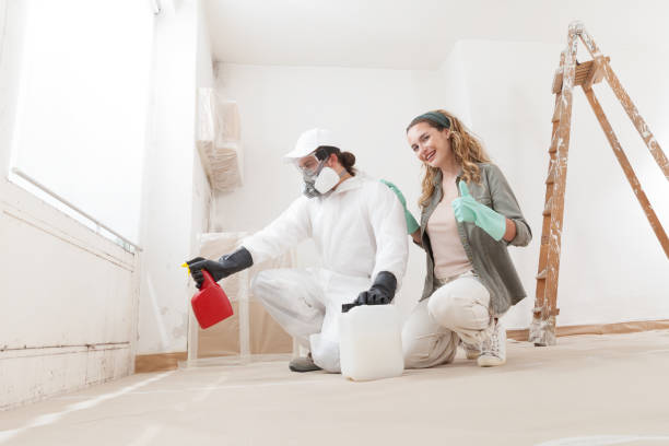 Mold Remediation for Rental Properties in Souderton, PA