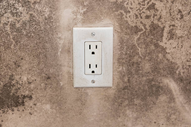 Souderton, PA Mold Removal Company